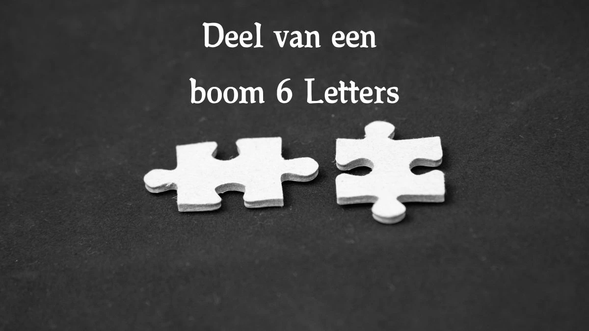 Deel van een boom 6 Letters